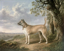 A Terrier on a path in a wooded landscape  by Charles Towne