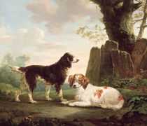Two spaniels in a landscape  by Charles Towne