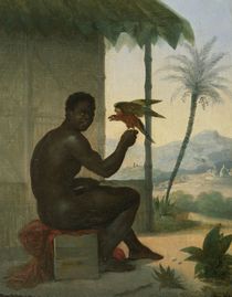Brazilian negro with Tropical Bird  by Nicolas Antoine Taunay