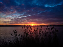 Sonnenuntergang mit Schilf am Kulkwitzer See Leipzig von lichtbilder