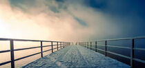 Steg Cospudener See im Sonnenlicht, Nebel und Winter Bild 2 von lichtbilder