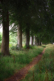 The Tree-lined Path von CHRISTINE LAKE