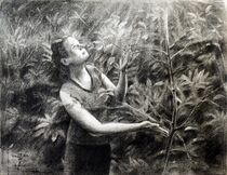 Het Sterrenbos – 12-09-22 von Corne Akkers