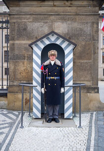 presidential guard in Prague by Kostas Papaioannou