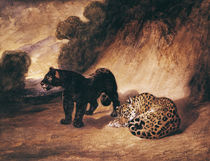 Two Jaguars from Peru  von Antoine Louis Barye