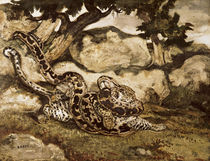 A Python Killing a Tiger  von Antoine Louis Barye