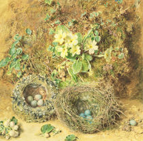 Primroses and Birds' Nests  by William Henry Hunt