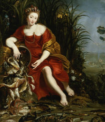 Allegory of Water  by Cornelis de Vos