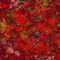 Lovely-red-leaves-in-the-forest