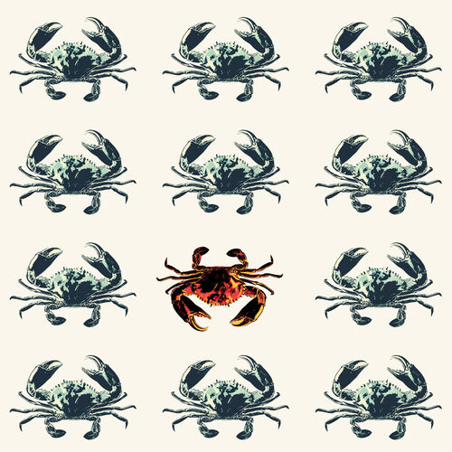 Strange-crab