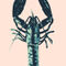 Crayfish-fin