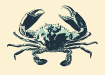 Crab by Kosta Morr