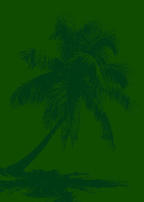Palm_3 von Kosta Morr