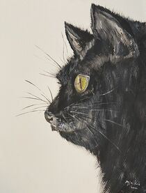 Black cat by Myungja Anna Koh