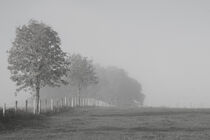 Nebel auf dem Land  von Angelika Wiedemeyer