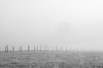 Nebel auf dem Land von Angelika Wiedemeyer