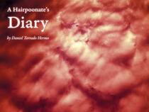 A Hairpoonate’s Diary by Daniel Torrado Hermo