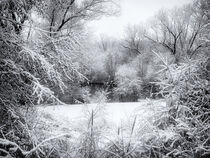 Winter Snow At Huron River by Phil Perkins