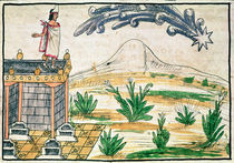 Montezuma II  by Diego Duran
