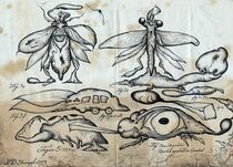 Insekten fur schwachsinnige Visionen by Friedrich W. Stumpfi