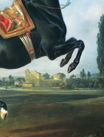 A black horse performing the Courbette  by Johann Georg Hamilton
