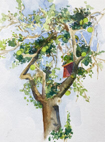 Vogelhaus im Baum von Sonja Jannichsen