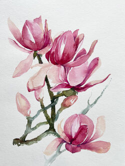 Malen-am-meer-magnolie