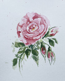 Rosa Rose by Sonja Jannichsen