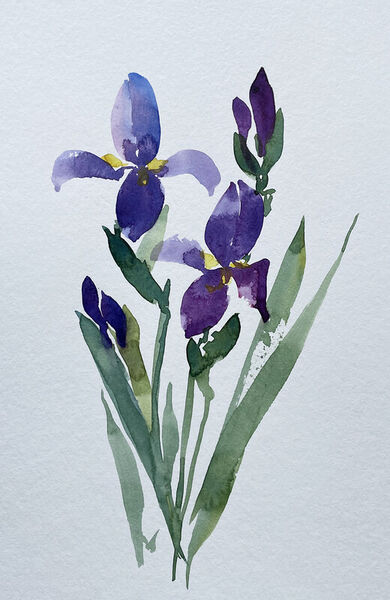 Malen-am-meer-iris
