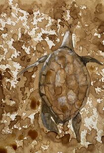 Coffee painting_turtle by Myungja Anna Koh