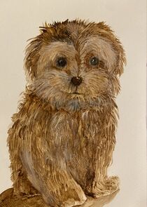 Coffee painting_brown dog by Myungja Anna Koh