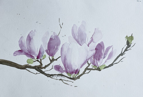 Malen-am-meer-magnolien