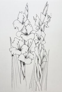 Gladiolen by Sonja Jannichsen