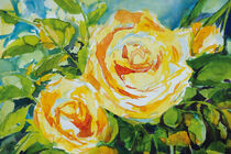 Orange Rosen by Sonja Jannichsen