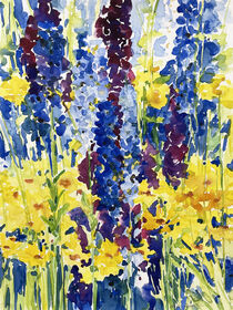 Rittersporn mit gelben Blumen by Sonja Jannichsen