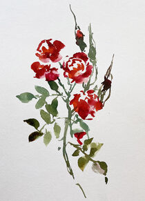 rote Rose by Sonja Jannichsen