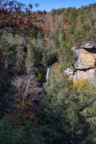 22nov-piney-falls-autumn