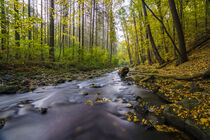 Herbstlandschaft mit Fluss 1 von Holger Spieker