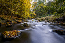 Herbstlandschaft mit Fluss 2 by Holger Spieker