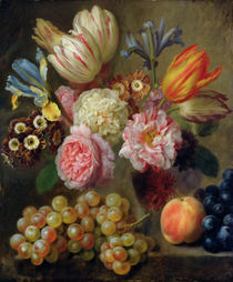 Flower Study  von Balthasar Denner