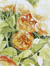 orange Rosen by Sonja Jannichsen