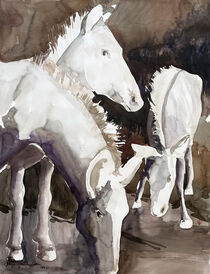 weiße Pferde by Sonja Jannichsen
