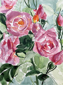 rosa Rosen by Sonja Jannichsen