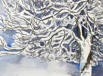 Baum mit Schnee bedeckt by Sonja Jannichsen