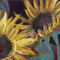 Sonnenblume-kreide