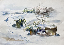 Schnee bedeckt den Garten von Sonja Jannichsen