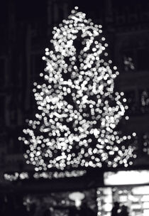 Weihnachtsbaum No. 2 von Sylke Gande