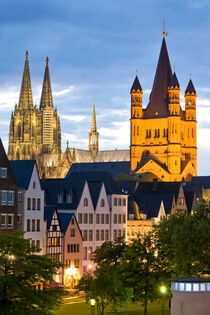Rheinpromenade und der Kölner Dom in Köln von dieterich-fotografie