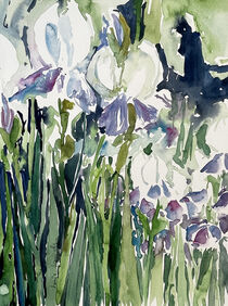 Iris lila by Sonja Jannichsen