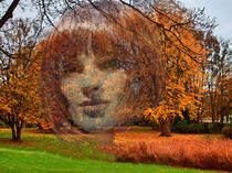 Herbstlandschaft mit Gesicht von Edgar Schermaul